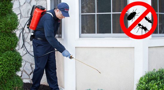 Kofçaz Karınca İlaçlama böcek ilaçlama ve haşere kontrolü — ilaclama-tr.com
